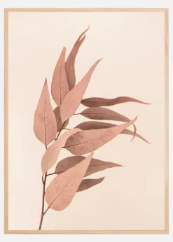 Dried Eucalyptus Plakat (21x29.7 cm (A4))