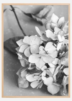 Dried Flower Bw Plakat (21x29.7 cm (A4))