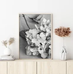 Dried Flower Bw Plakat (21x29.7 cm (A4))