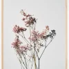 Dried flowers II Plakat (21x29.7 cm (A4))
