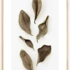 Dried Leaves Plakat (21x29.7 cm (A4))