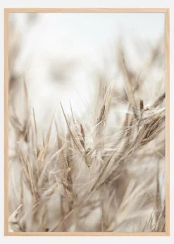 Dried Up ll Plakat (21x29.7 cm (A4))