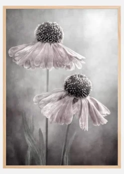 Duet Plakat (21x29.7 cm (A4))