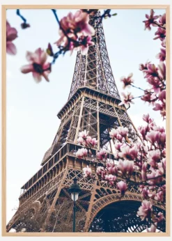 Eiffel Tower Blossoms Plakat (21x29.7 cm (A4))