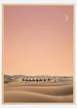 Eight Camels Plakat (21x29.7 cm (A4))