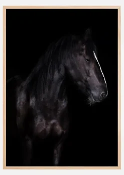 Erika Plakat (21x29.7 cm (A4))