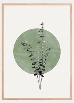 Eucalyptus and Green Moon Plakat (21x29.7 cm (A4))