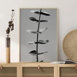 Eucalyptus Bw Plakat (21x29.7 cm (A4))