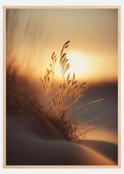 Evening Sun At The Beach Plakat (21x29.7 cm (A4))