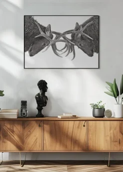 Eye to Eye - Elk fight Plakat (21x29.7 cm (A4))