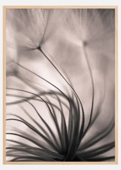 Faded Blurry Flower Plakat (21x29.7 cm (A4))