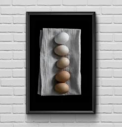 Farm eggs Plakat (21x29.7 cm (A4))