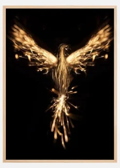 Fenix Plakat (21x29.7 cm (A4))