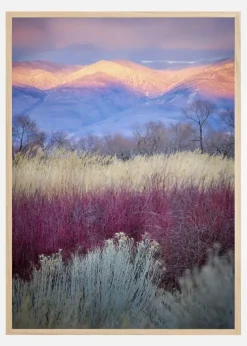 Field Layers Plakat (21x29.7 cm (A4))