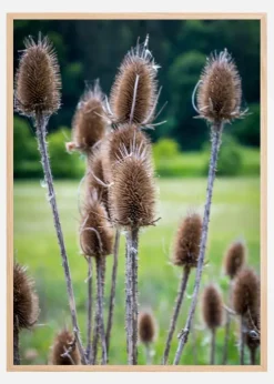 Field Plakat (21x29.7 cm (A4))