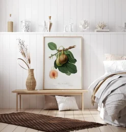 Figs Plakat (21x29.7 cm (A4))