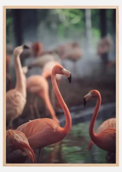 Flamingo Plakat (21x29.7 cm (A4))