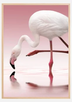 Flamingo Plakat (21x29.7 cm (A4))