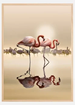 FLAMINGOS Plakat (21x29.7 cm (A4))