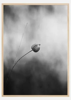Flax After Flowering Plakat (21x29.7 cm (A4))