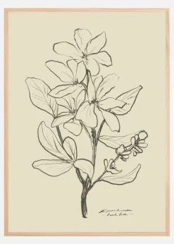 Floral 1 Plakat (21x29.7 cm (A4))