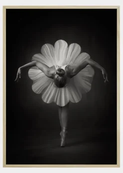 Floral Ballet Plakat (21x29.7 cm (A4))