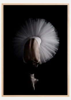 Flower Ballet Plakat (21x29.7 cm (A4))