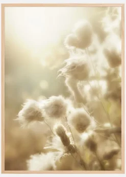 Fluffy flowers Plakat (21x29.7 cm (A4))