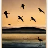 Fly-In At Sunset Plakat (21x29.7 cm (A4))