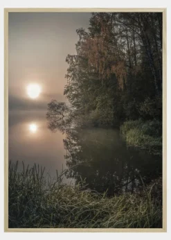 Foggy Fall Lake Plakat (21x29.7 cm (A4))
