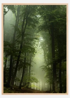 Foggy Forrest Plakat (21x29.7 cm (A4))
