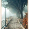 Fogy autumn day Plakat (21x29.7 cm (A4))