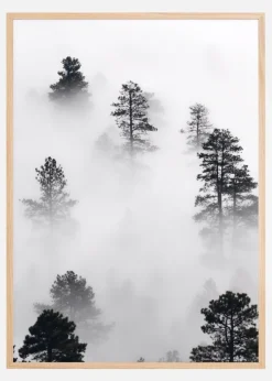 Fogy Forest Plakat (21x29.7 cm (A4))