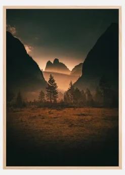 Forest Plakat (21x29.7 cm (A4))