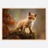 Fox Plakat (21x29.7 cm (A4))