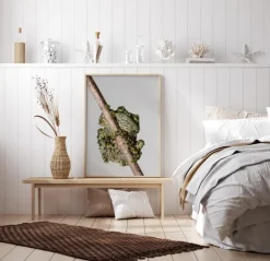 Frog On Tree Plakat (21x29.7 cm (A4))