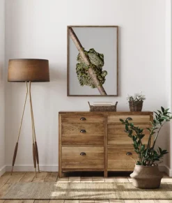 Frog On Tree Plakat (21x29.7 cm (A4))