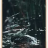 Frog Plakat (21x29.7 cm (A4))