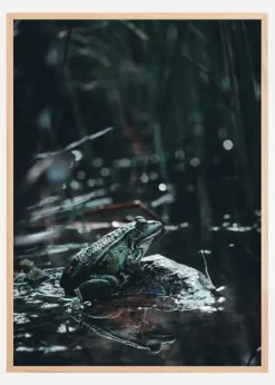 Frog Plakat (21x29.7 cm (A4))