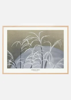Frost From Momoyogusa Plakat (21x29.7 cm (A4))