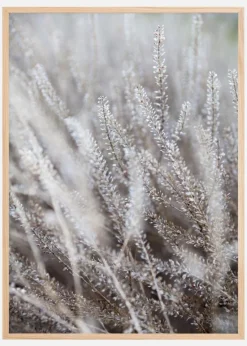 Frosty Grass Plakat (21x29.7 cm (A4))