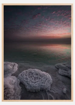 Genesis Plakat (21x29.7 cm (A4))