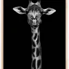 Giraffe Portrait Plakat (21x29.7 cm (A4))