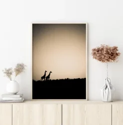 Giraffes Plakat (21x29.7 cm (A4))