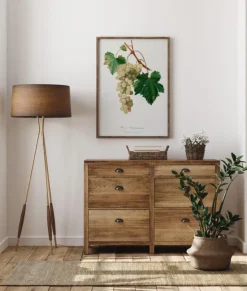 Grapes I Plakat (21x29.7 cm (A4))