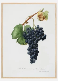 Grapes Plakat (21x29.7 cm (A4))