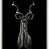 Greater Kudu Plakat (21x29.7 cm (A4))