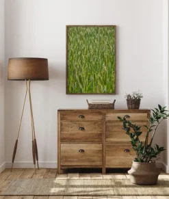 Green Wheat Field Plakat (21x29.7 cm (A4))
