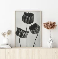 Grey Flower V Plakat (21x29.7 cm (A4))