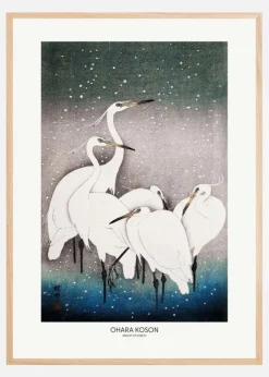 Group Of Egrets Plakat (21x29.7 cm (A4))